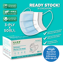 3-PLY PROTECTIVE MASK